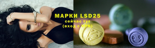 дурь Лабытнанги