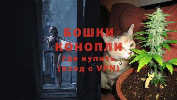 дурь Лабытнанги
