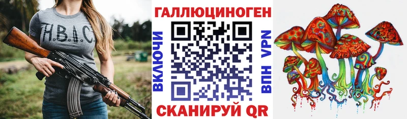 Галлюциногенные грибы Psilocybe  как найти   площадка какой сайт  Нижневартовск 